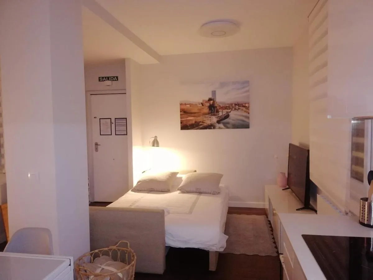 Appartamento Kaixo-San Mames-Bilbao Intermodal Spagna